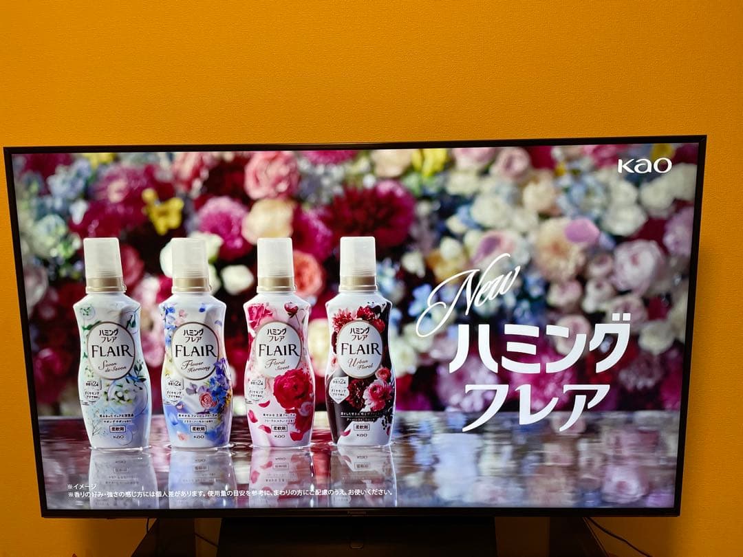 パナソニック 55V液晶テレビ TH-55FX750