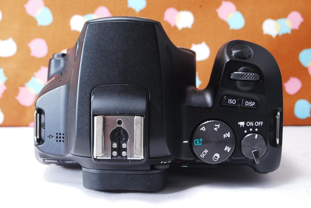 ✨初心者オススメ✨Wi-Fi✨Canon Kiss X10 ダブルレンズセット