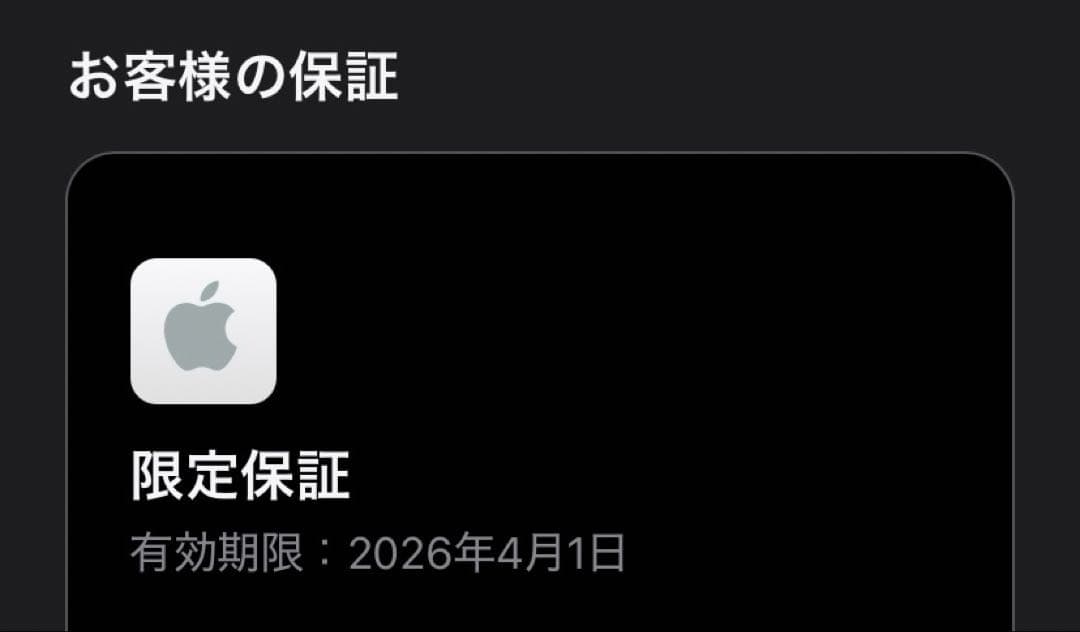 MacBookAir13インチM4スカイブルー最大容量100% 保護フィルム付き