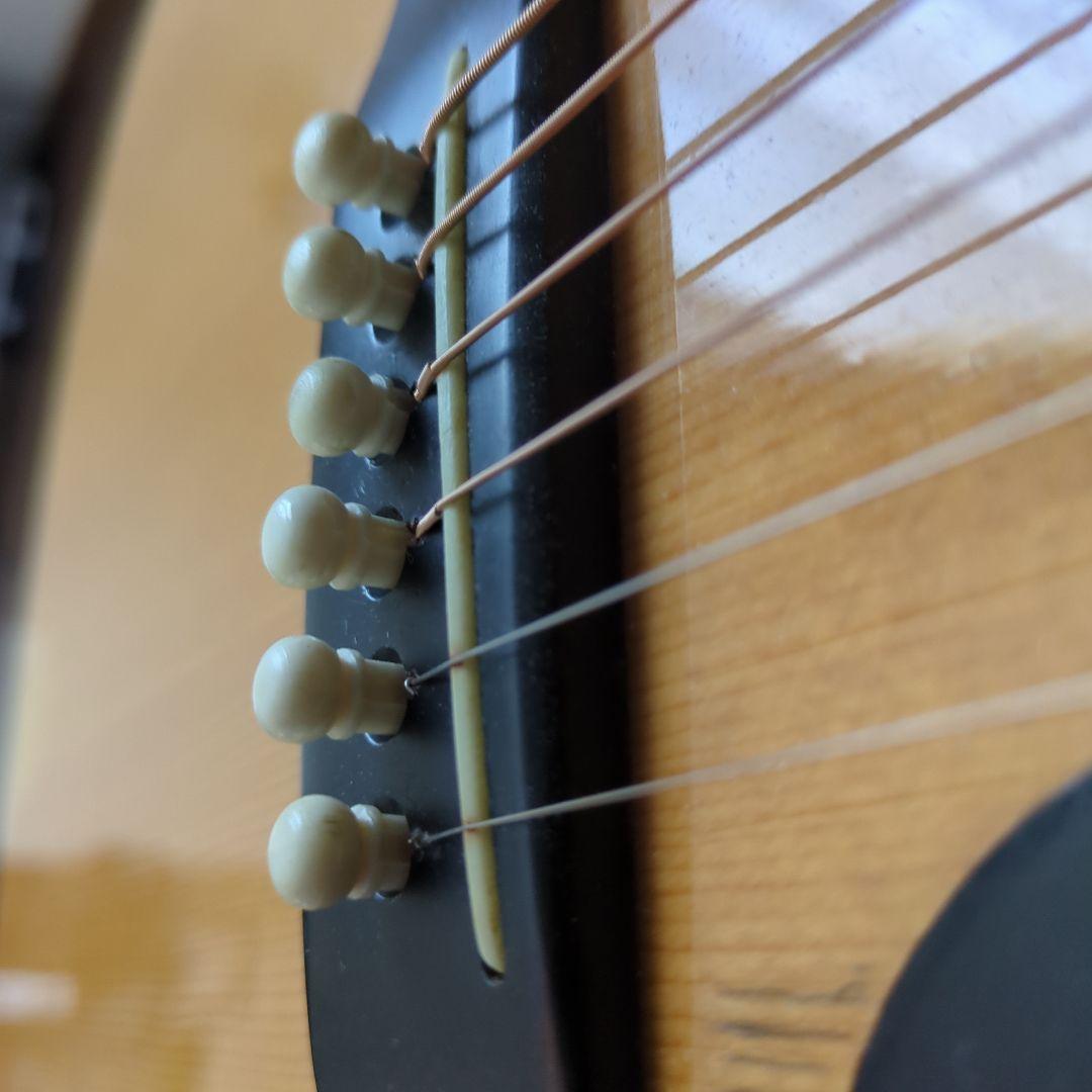 ギター TF MORRIS W50