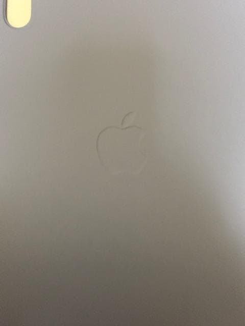 iPad mini A17pro,256GB,cellularパープル おまけ有