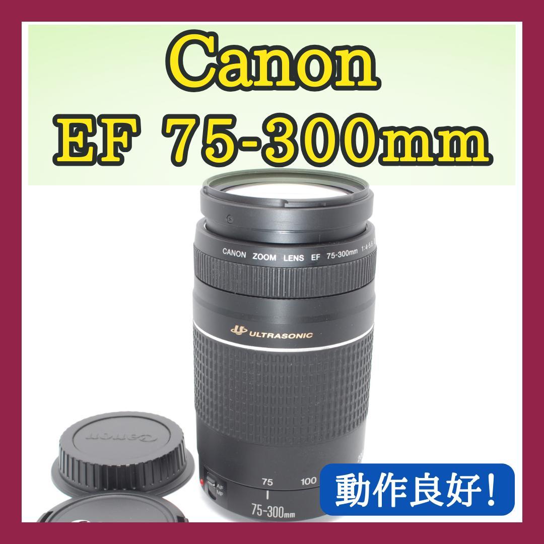 ✨超望遠✨Canon EF75-300mm USM✨美品✨大特価✨フルサイズ✨