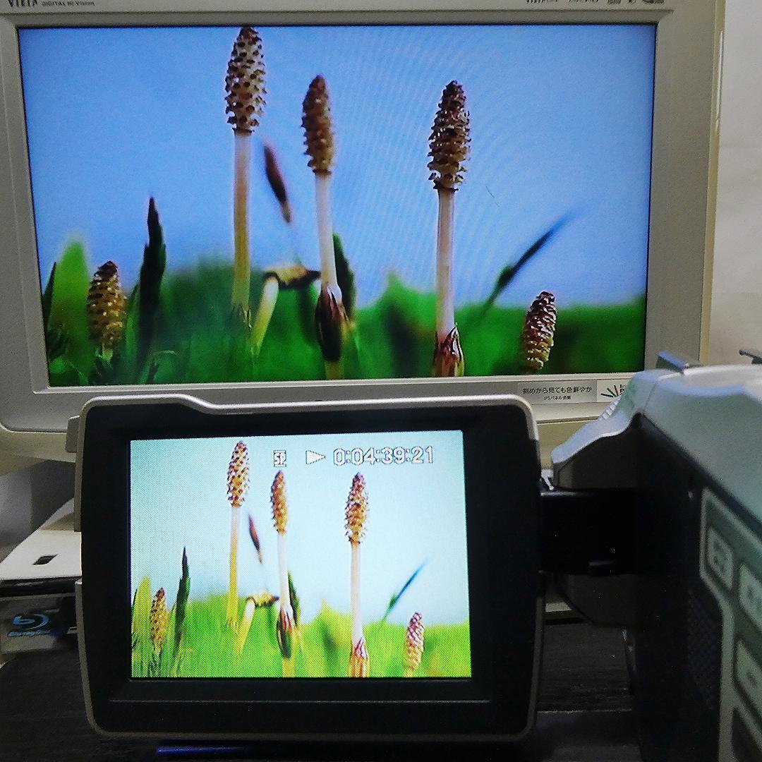 美品・動作品 ソニー DCR-TRV27 MiniDV ビデオカメラ DVD化に