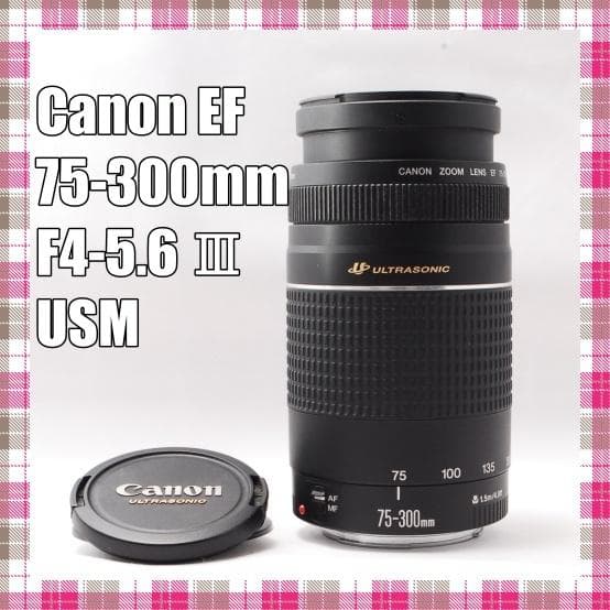 ✨美品✨Canon 望遠レンズ EF 75-300mm F4-5.6 Ⅲ USM