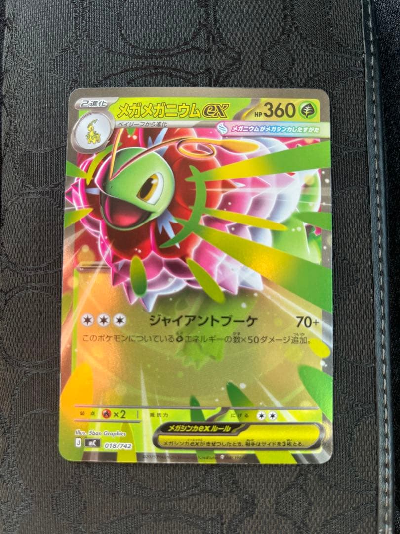 ♪*♪様 メガエンブオーSAR仕様+メガメガニウムRR仕様