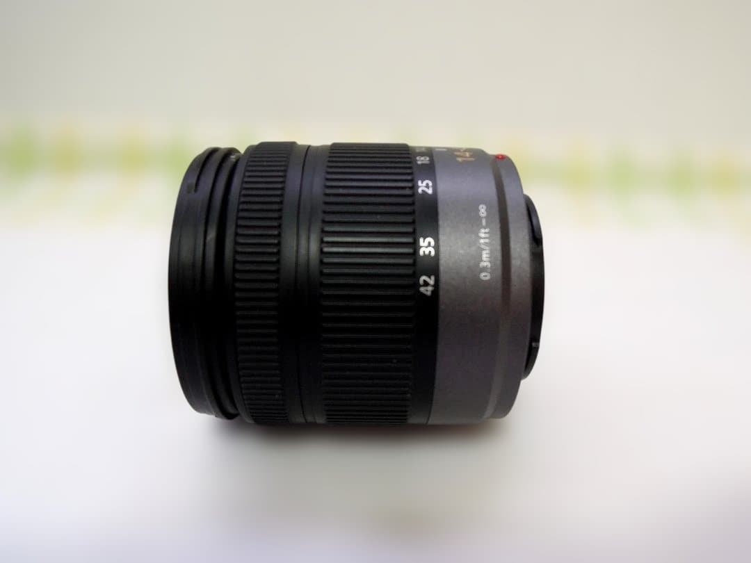 LUMIX GF1 カメラレンズセット