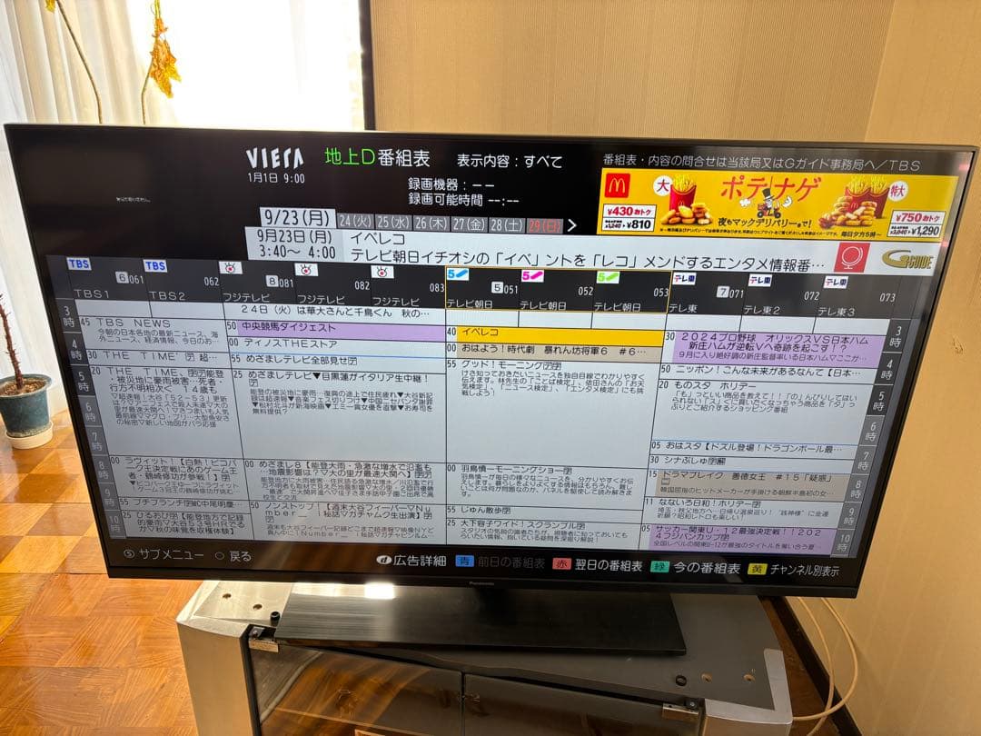女性オーナーPanasonic 43型液晶テレビ 4K TH-43MX900