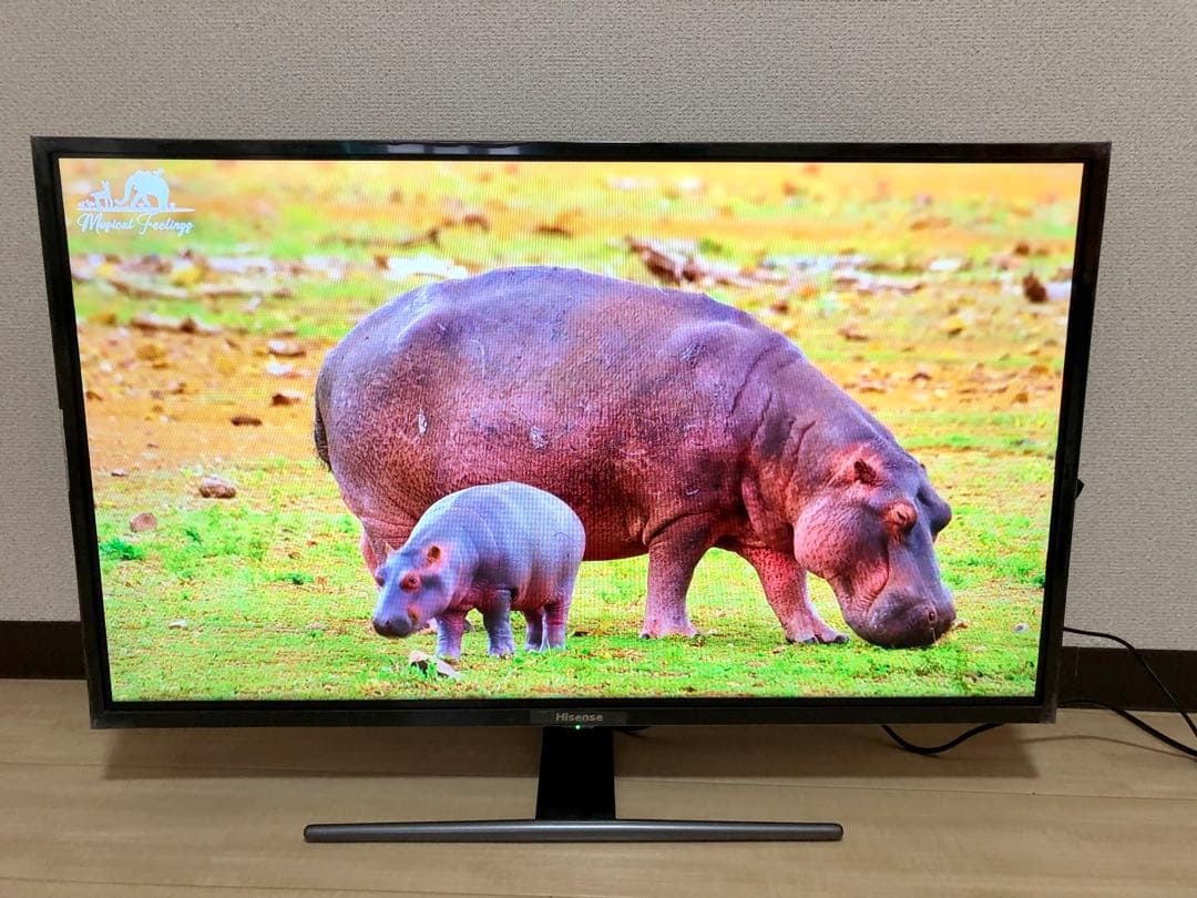 ハイセンス32型テレビ HJ32A5800　スマイlink TV stick付き