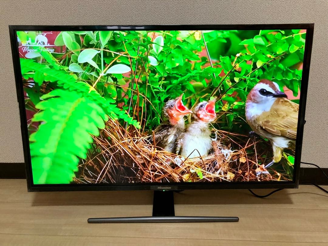 ハイセンス32型テレビ HJ32A5800　スマイlink TV stick付き