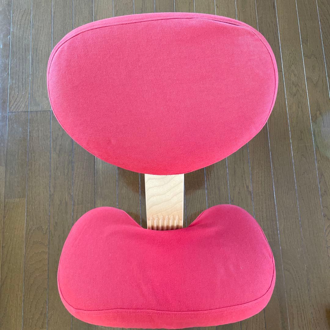 バランスチェア•イージー　専用カバー　ノルウェー•リボ社　取説あり