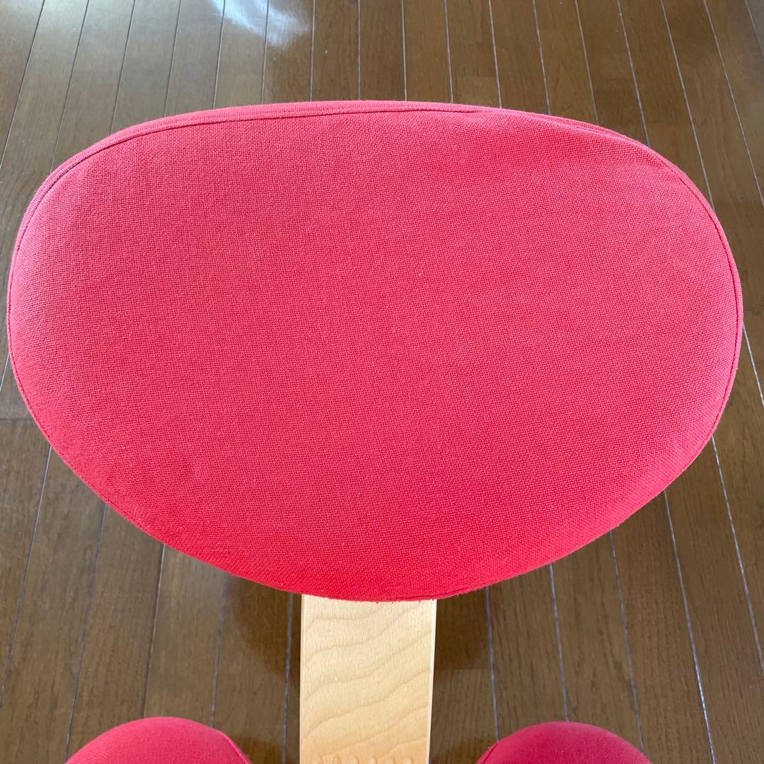 バランスチェア•イージー　専用カバー　ノルウェー•リボ社　取説あり