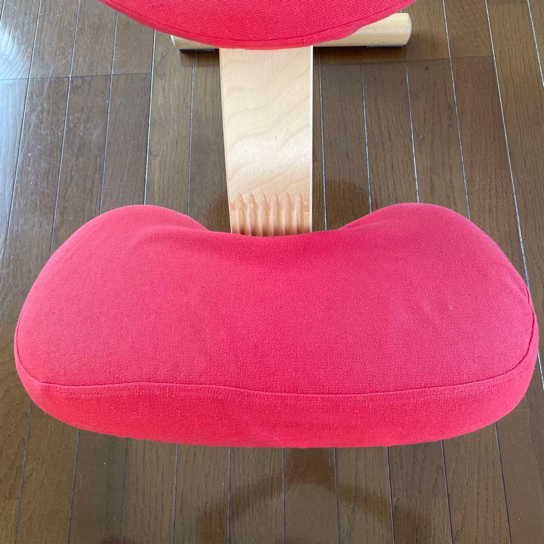 バランスチェア•イージー　専用カバー　ノルウェー•リボ社　取説あり