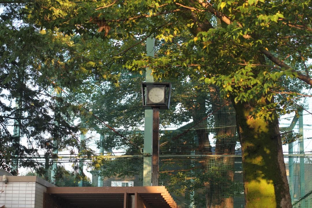 CANON EF 50mm f/1.4 USM レンズ