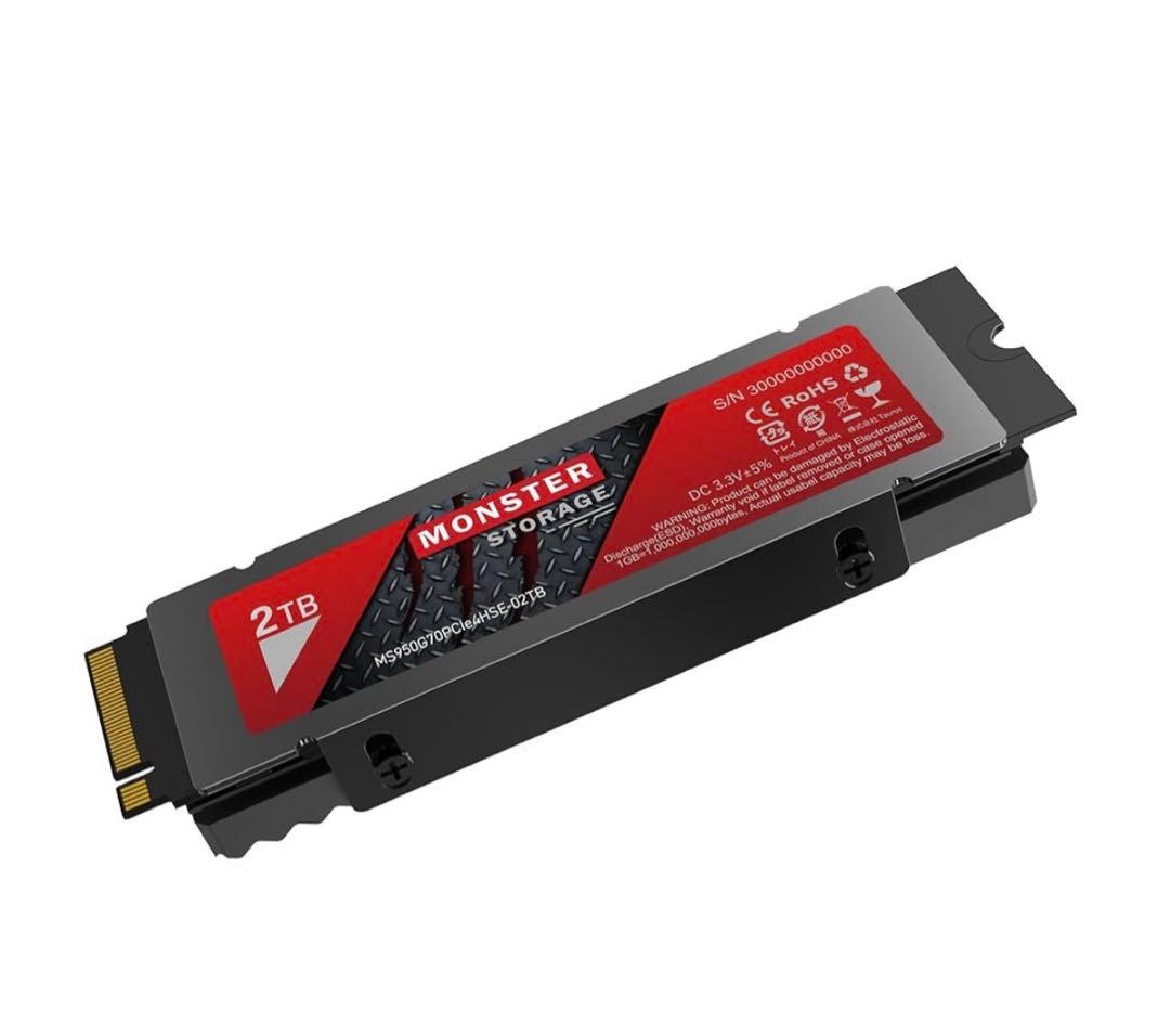 内蔵型SSD 9621 Monster Storage SSD 2TB