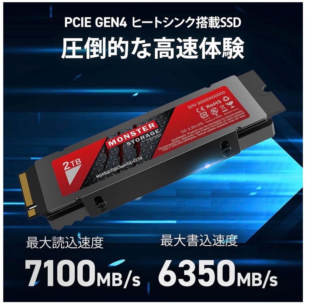 内蔵型SSD 9621 Monster Storage SSD 2TB