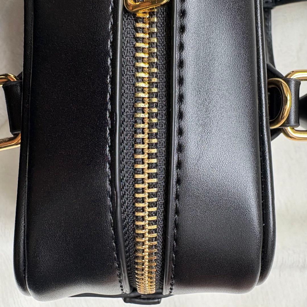 Miu Miu ミュウ ミュウ アルカディ レザーミニバッグ