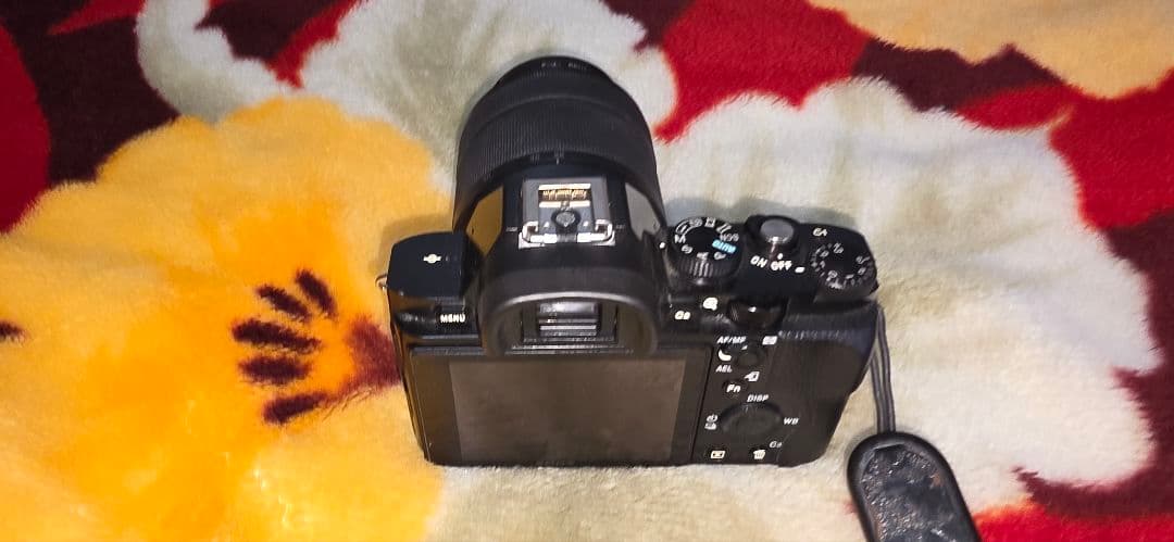 SONY a7 FE 28-70mm FE 50mm F1.8 他セット