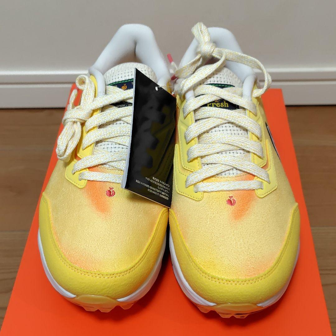 ナイキ ズーム インフィニティ TR ネクスト% NRG W M23