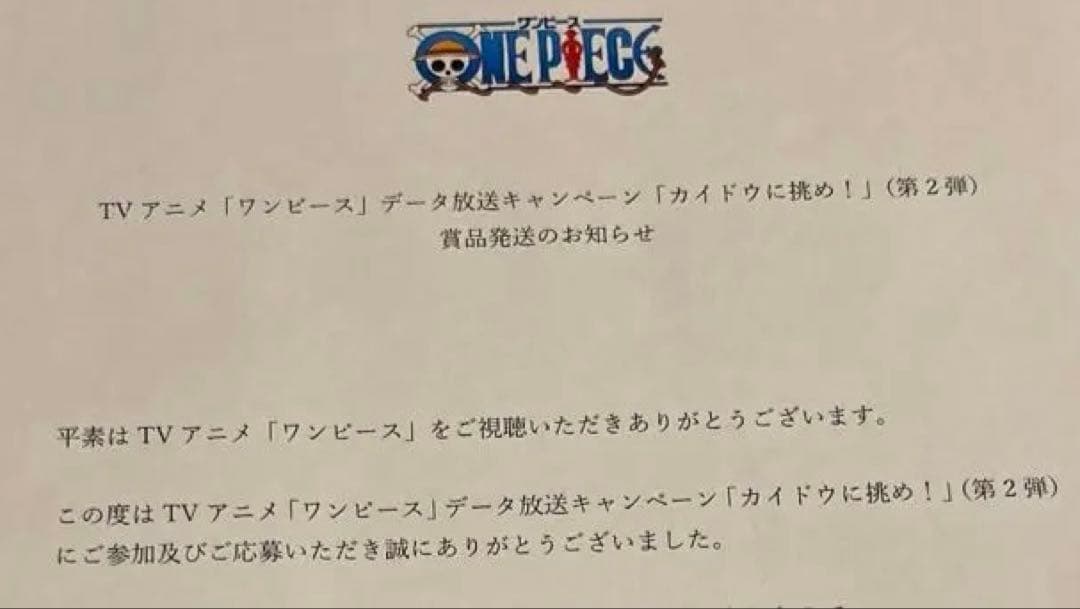 アニワンプロモ当選版 カイドウに挑めTV限定当選紙付き