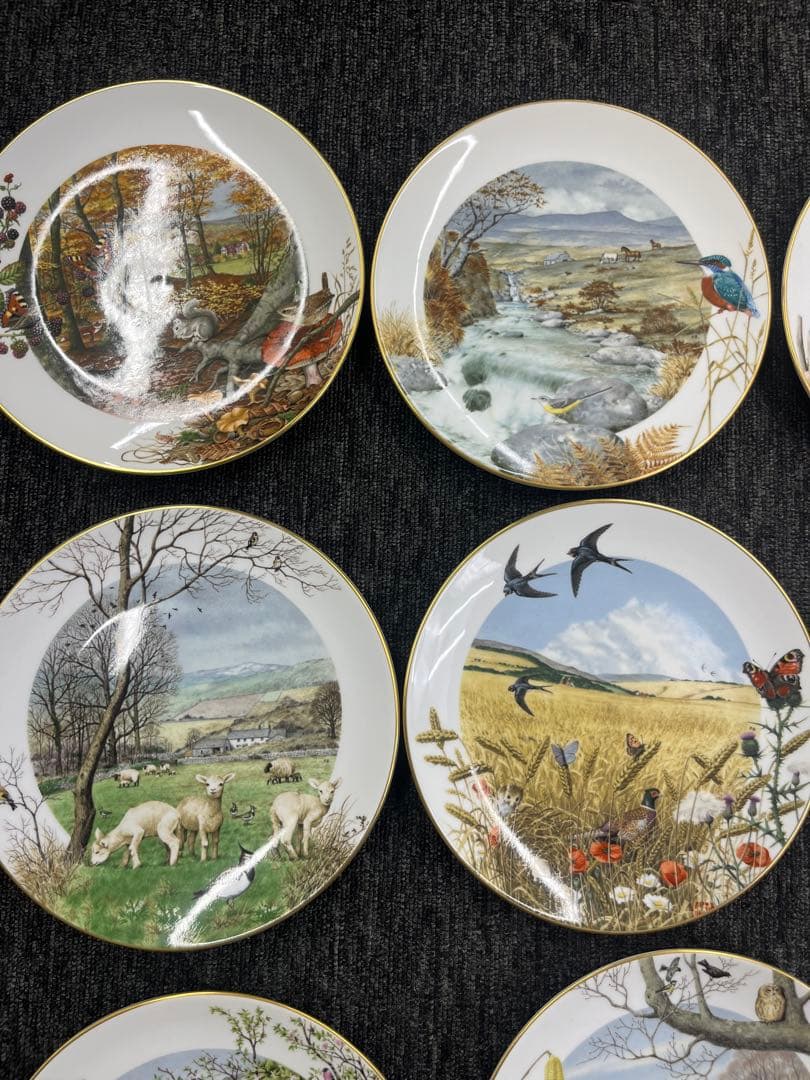 ロイヤルウースター  WORCESTER 12枚セット　飾り皿