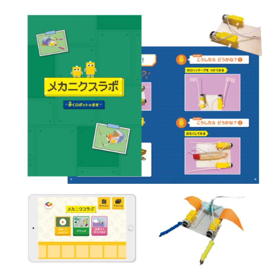 ワンダーボックス　特別エキスパートコース　8ヶ月分