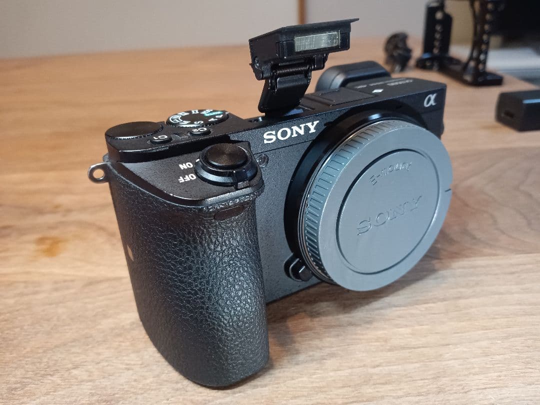 S数5470回【センサー清掃+SmallRig付】 SONY α6500 ボディ