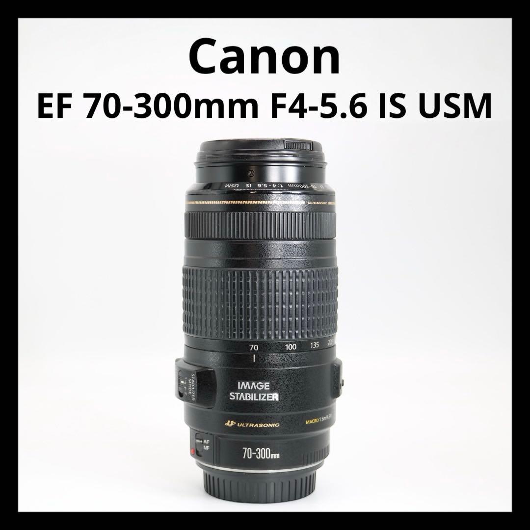 美品　【Canon EF 70-300mm F4-5.6 IS USM】 保証◎