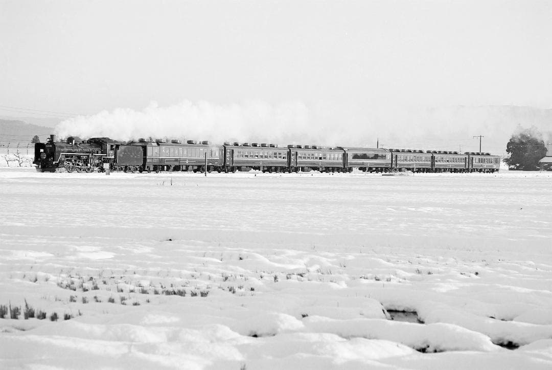 キャノン７／キャノンレンズ50mmf2.8Ⅱフード付【実写確認整備済】