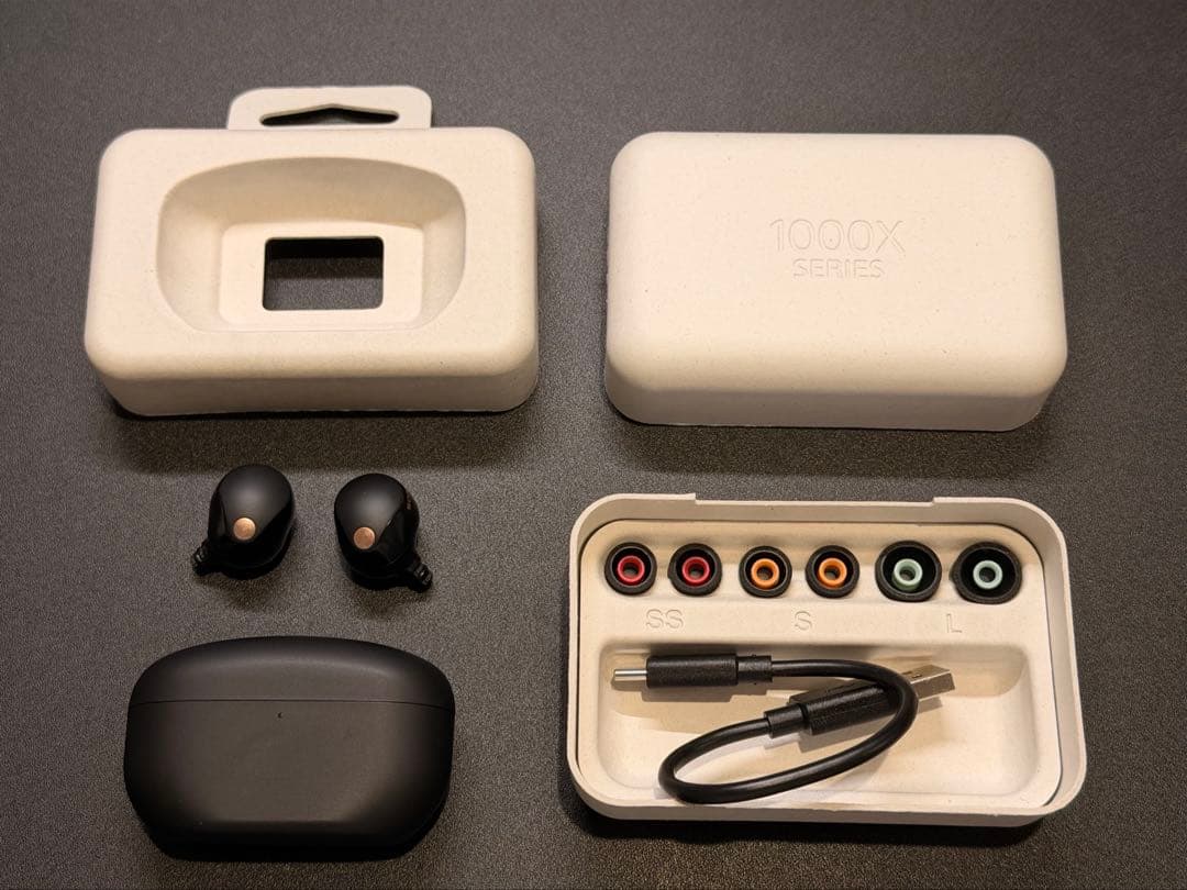 WF-1000XM5 イヤーピースなし