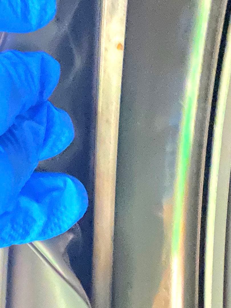 シャープ ドラム式 洗濯乾燥機 ES-V11A-NL