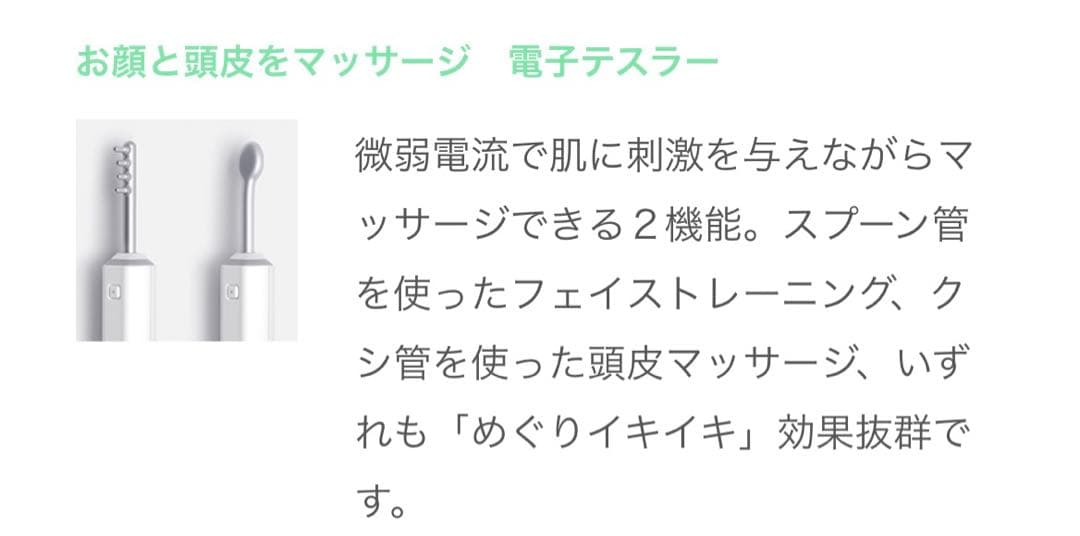 サキナ美顔器　ルルシェ　SAQINA