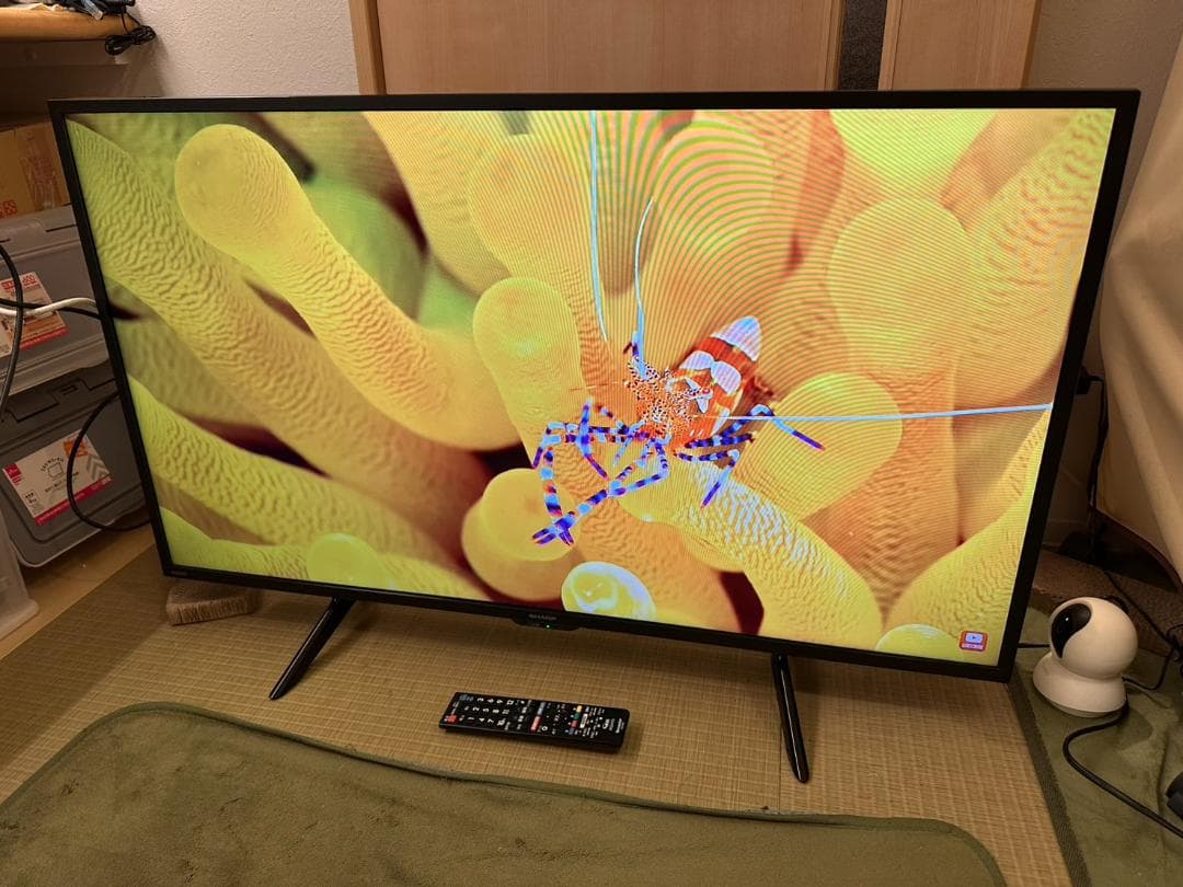 SHARP シャープ　42型　テレビ 2T-C42BE1 20年製　極美品！