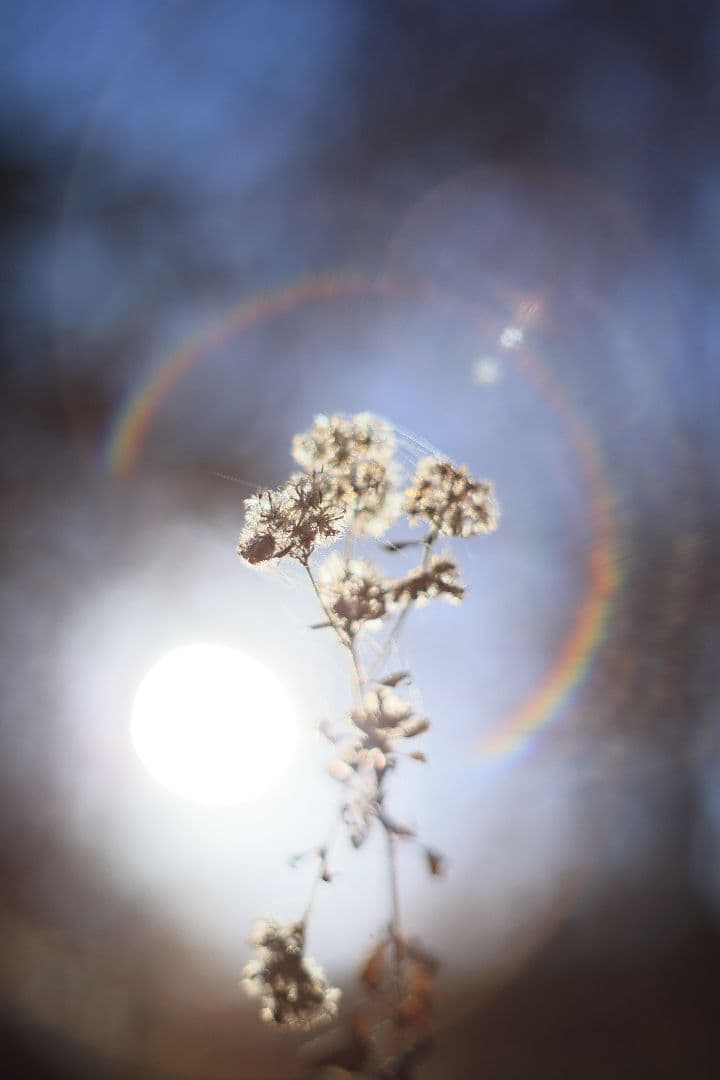 Super-Takumar 55mm F1.8 前期型 S/N：1235298