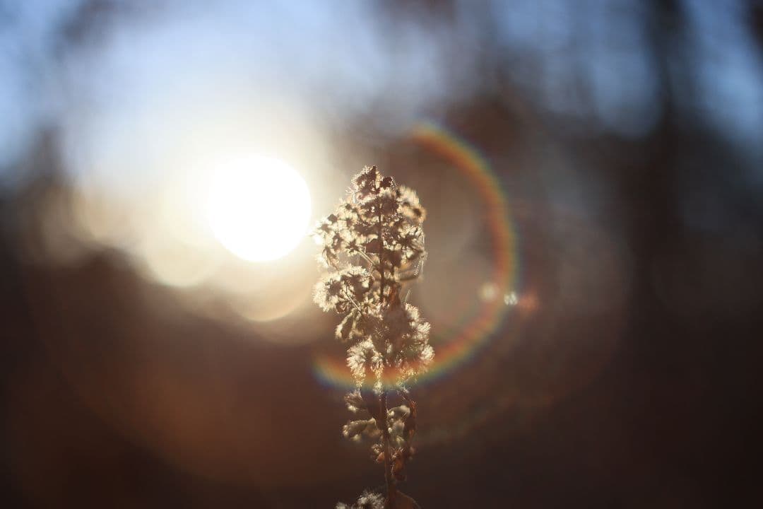 Super-Takumar 55mm F1.8 前期型 S/N：1235298