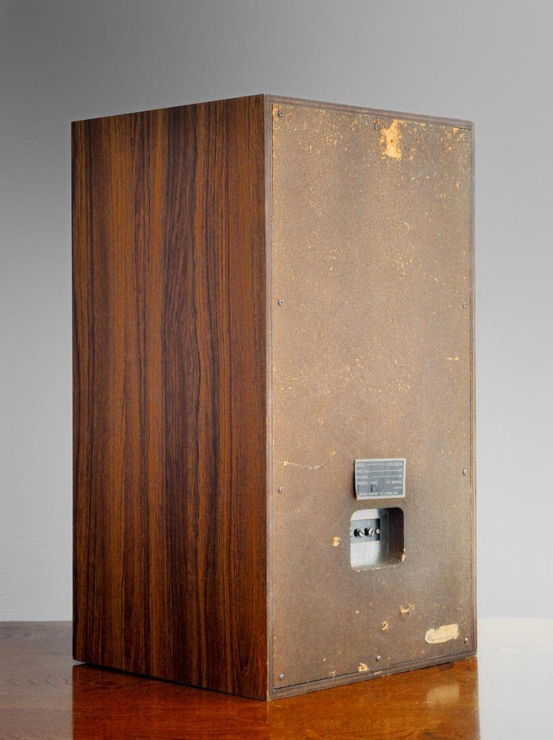 ★洒落感あって人気の2ウエイセクトラルホーンのVICTOR BLA-G620T