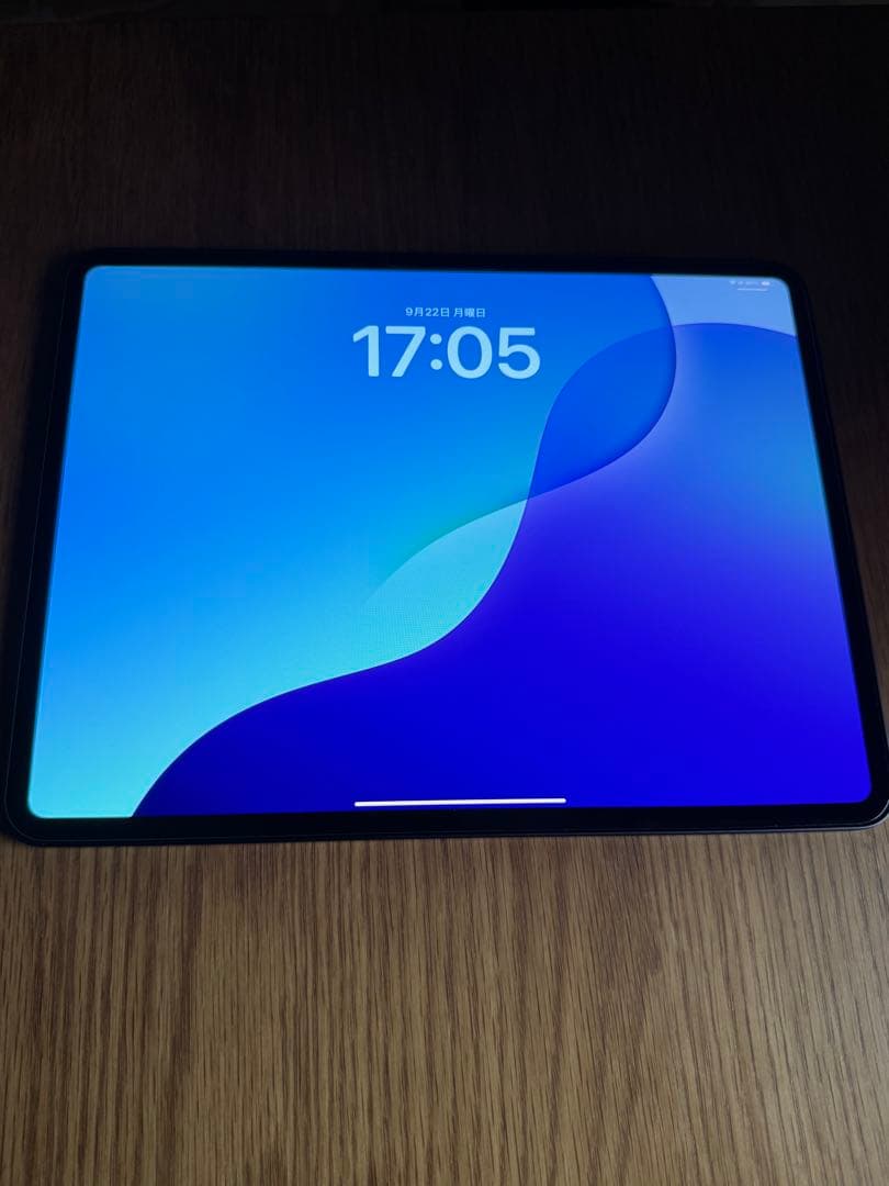 【3点セット美品】iPad Pro13インチ256GB Wi-Fiモデル