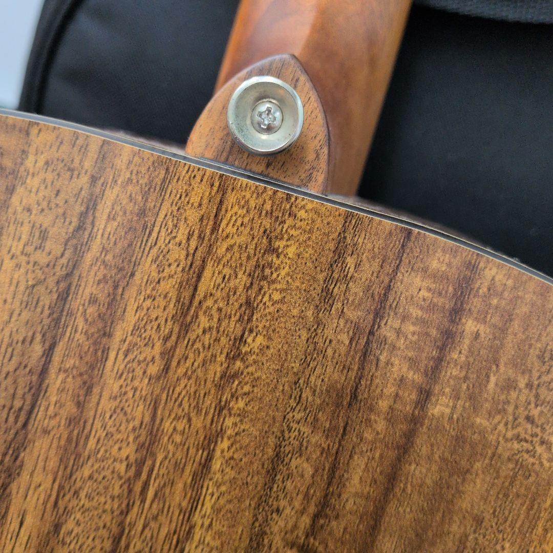 l*7様 James J-300S SWH アコースティックギター