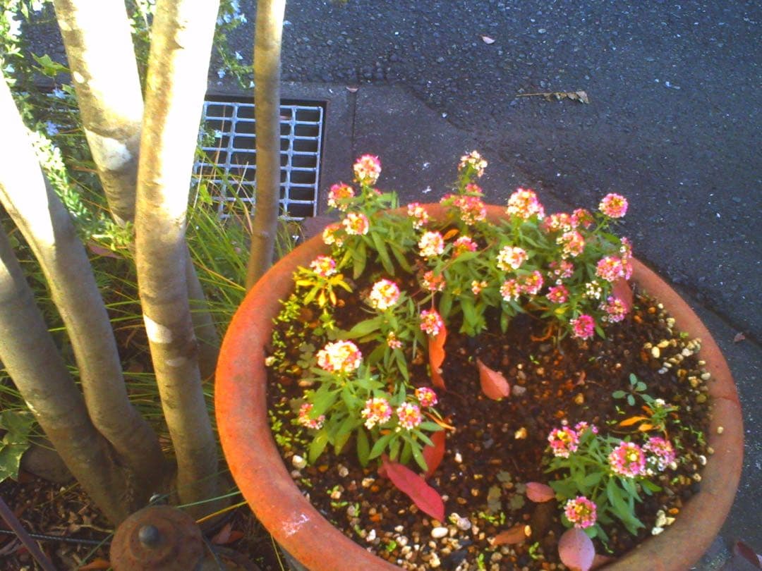 ネコノデジタルカメラ　NDC1マイキー、NDC3ホワイト　2台セット