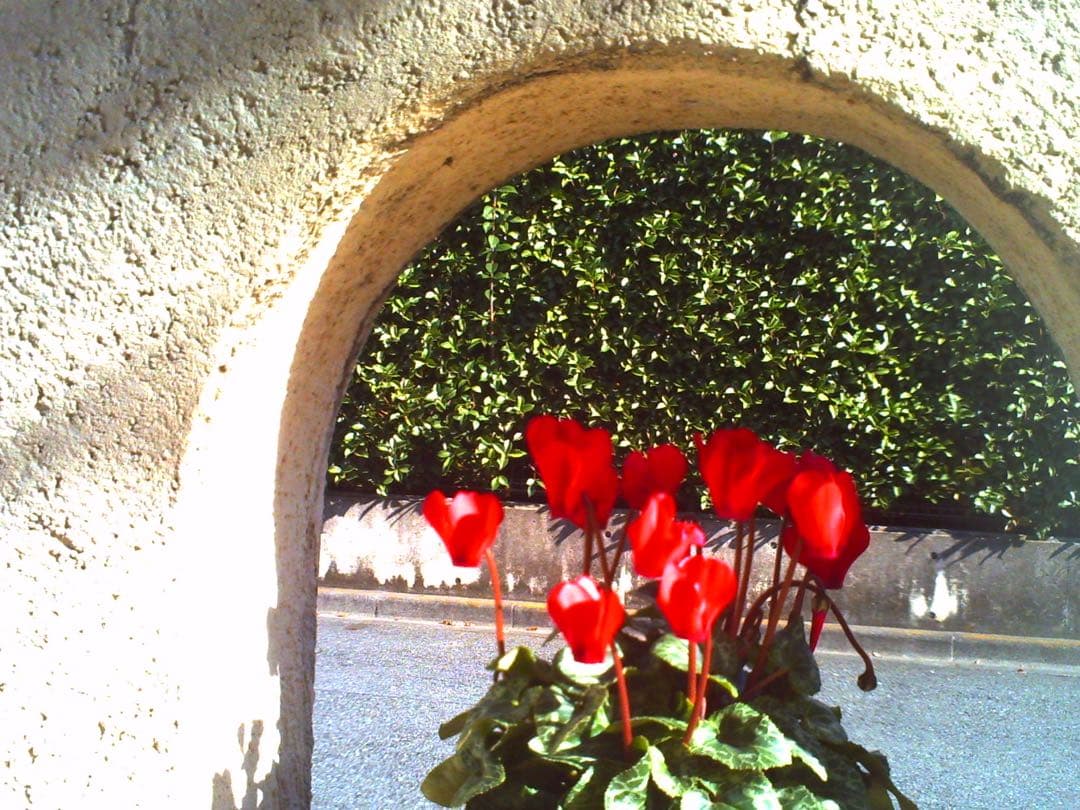 ネコノデジタルカメラ　NDC1マイキー、NDC3ホワイト　2台セット