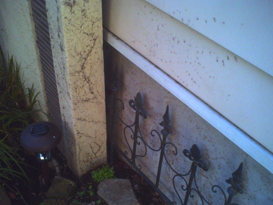 ネコノデジタルカメラ　NDC1マイキー、NDC3ホワイト　2台セット