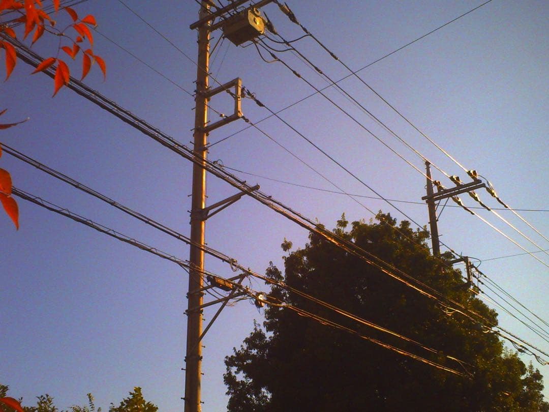 ネコノデジタルカメラ　NDC1マイキー、NDC3ホワイト　2台セット