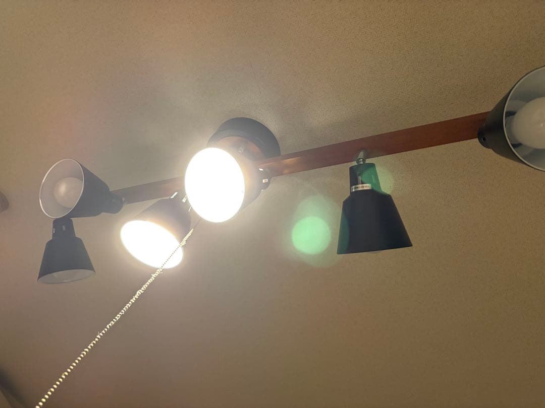 【値段交渉可】エア•リゾームインテリア　シーリングライト　manis