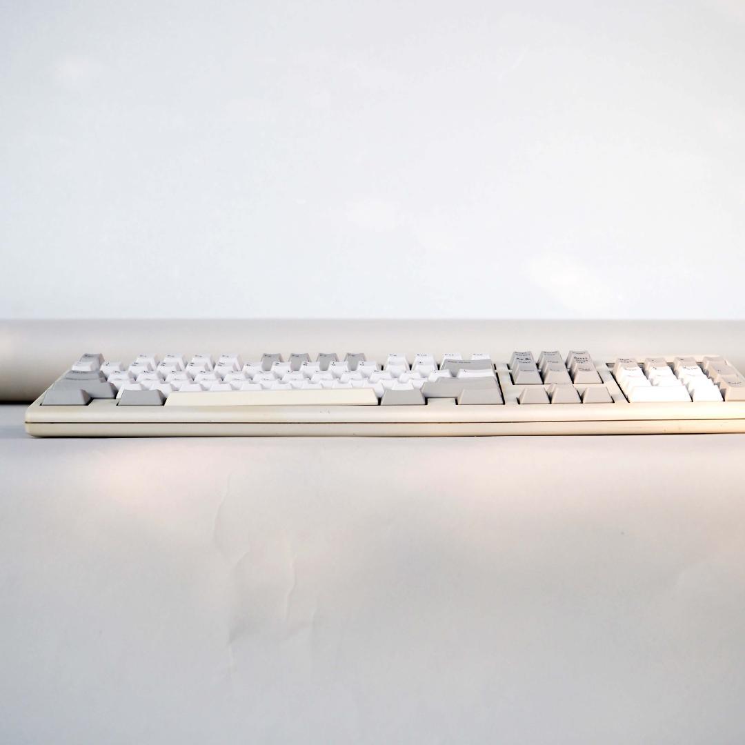 大*魚様 【キートップ洗浄済】Realforce 101 英語配列 （その1）