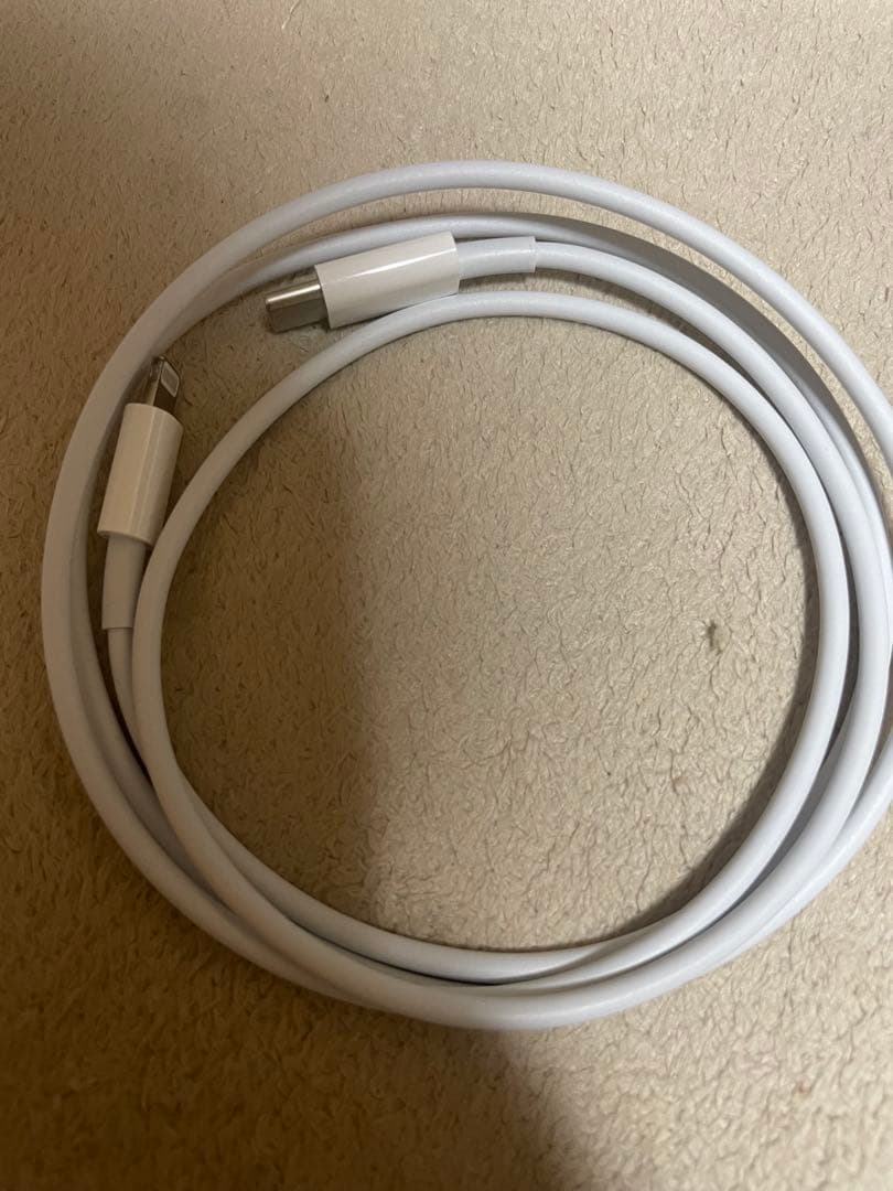 Apple AirPods Pro 第1世代、ケーブル、イヤーチップ