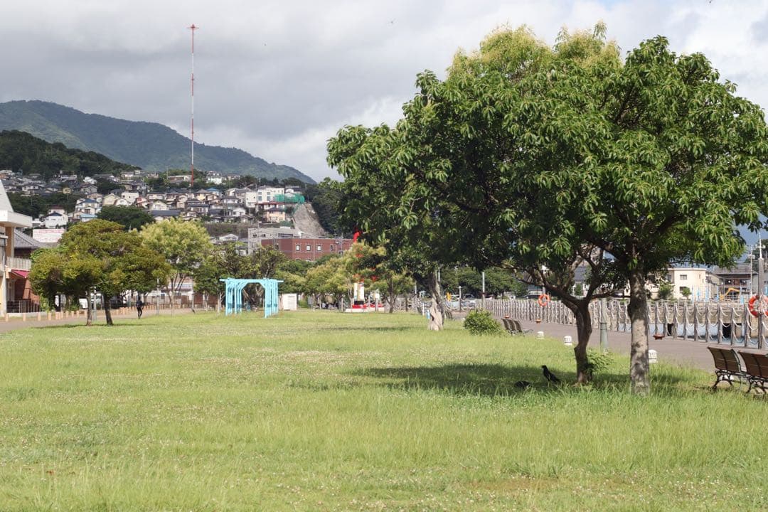 ★ OLYMPUS オールドレンズ 50mm F1.4