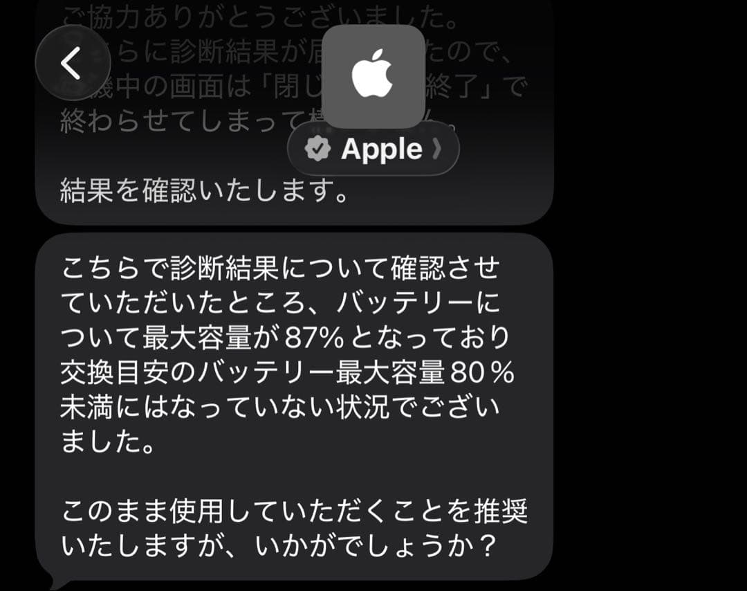 iPadPro 12.9inch 第2世代 256GB セルラーモデル