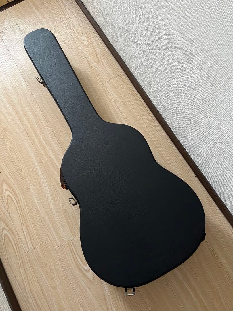 James オール単板 エレアコ　j-800a