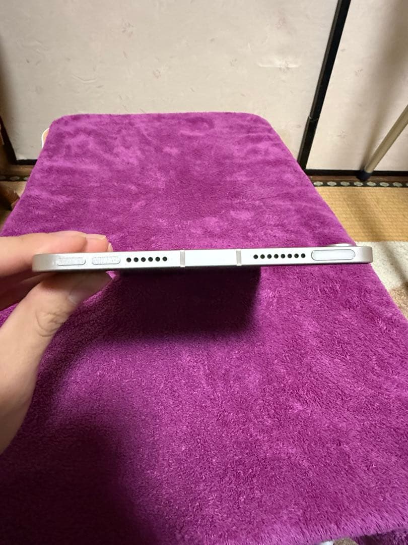 iPad mini 6世代Cellularモデル　64GB 本体のみ＋おまけ