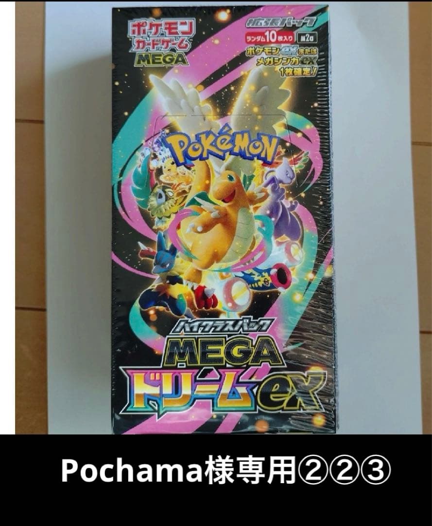 Pochama②②③