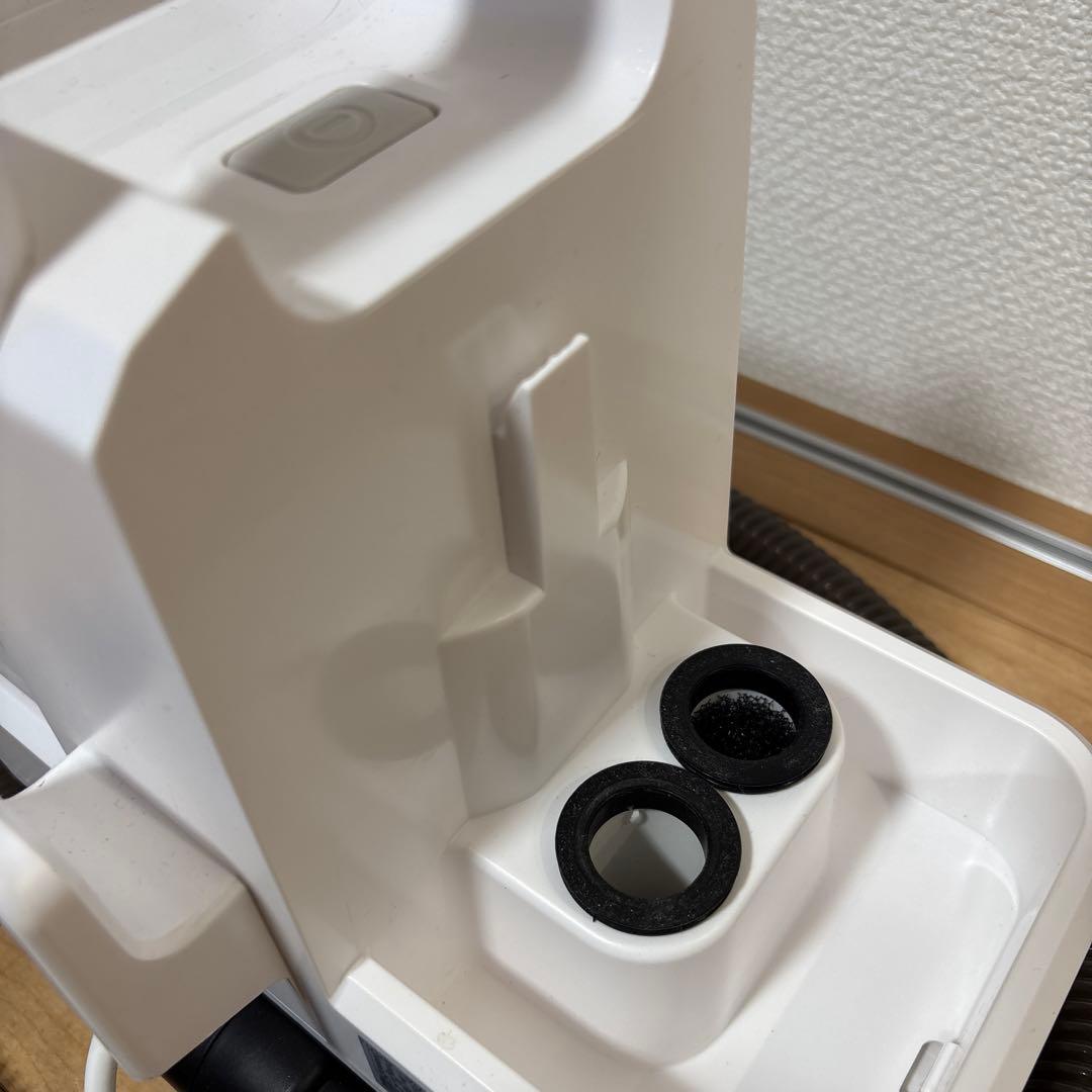 2025年製　アイリスオーヤマ　リンサークリーナー RNSP-P500